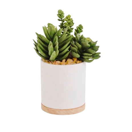 Potted Faux Succulent II