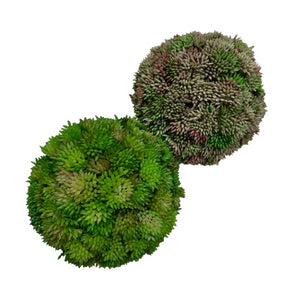 Faux Succulent Sphere