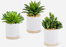 Load image into Gallery viewer, Potted Faux Succulent I
